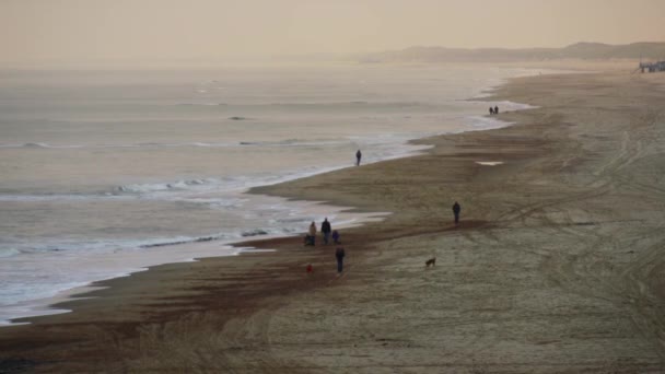 Береговая Линия Песчаного Пляжа — стоковое видео
