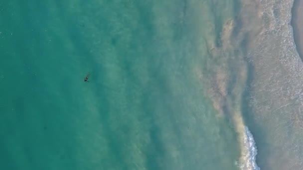 Пляж Басейн Берег Повітряний Вид — стокове відео