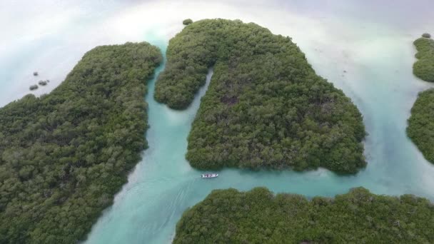 Mer Des Caraïbes Océan Tropical — Video