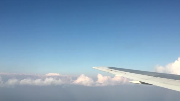 Airplane Wing Travel Sky — Stock Video