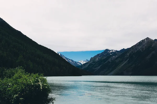 Lago Kucherlinskoe, vista a la playa — Foto de Stock