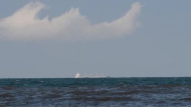 Mavna deniz kıyısında yüzen