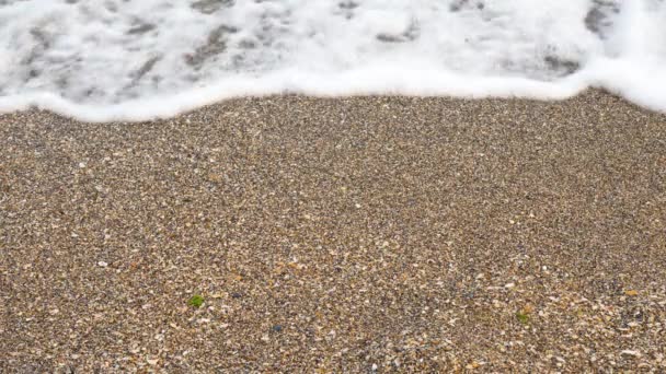 Sandy havsstranden tvättas med havsvatten — Stockvideo