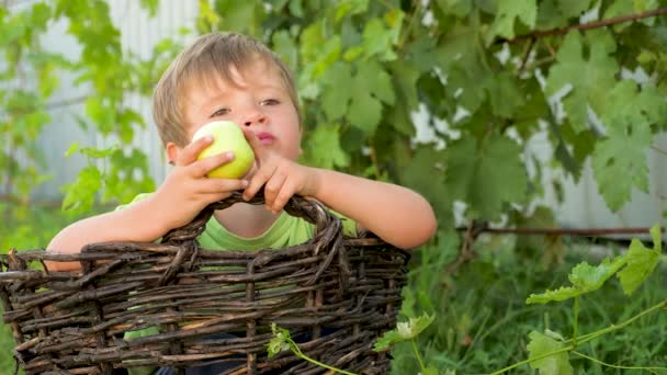 Παιδί κάθεται στο καλάθι και να τρώει πράσινο μήλο. Υπαίθριες δραστηριότητες. Το παιδί στο πάρκο. — Αρχείο Βίντεο