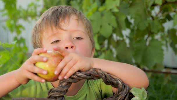 Manzana madura en la mano de un chico lindo sobre el fondo de hojas verdes — Vídeo de stock