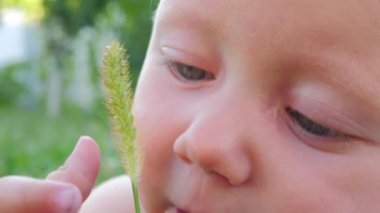 Yeni hayat başlangıç kavram rustik ahşap zemin üzerine