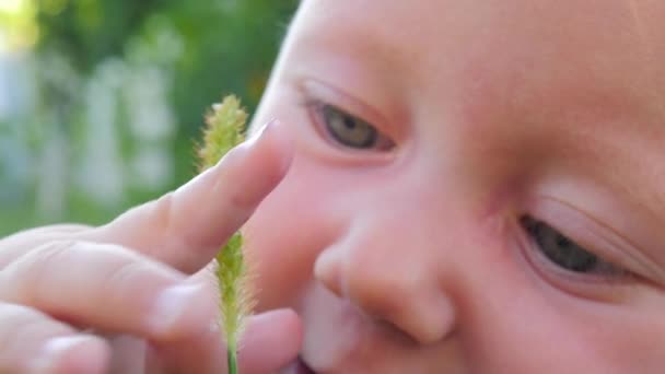 自然に赤ちゃんの肖像画。人と自然。幸せな家族の概念. — ストック動画
