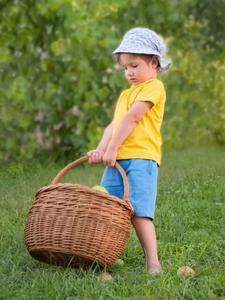 Oogstperiode. Oogstseizoen. Kinderen helpen ouders oogst — Stockfoto