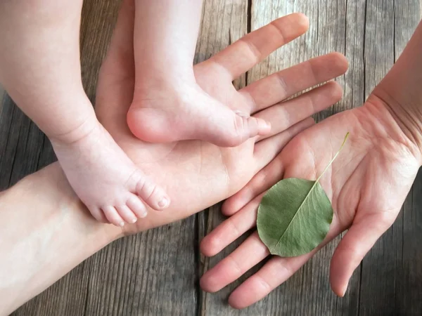 Счастливая семейная концепция Экология фон Новорожденный ребенок и его родители . — стоковое фото