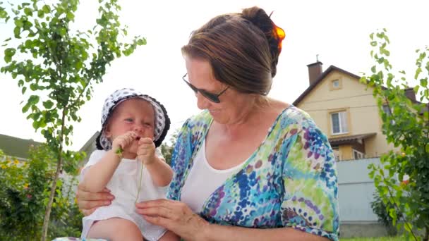 花と遊ぶ赤ちゃん。祖母の手で女の赤ちゃん。幸せな家族の背景。家族の概念. — ストック動画