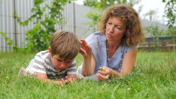 Concept de soins maternels. Femme d'affaires et famille . — Video