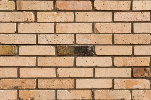 Faded brick wall background. Colored bricks facade.