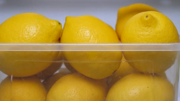 Свежие лимоны. Лимоны готовы к использованию. Органическая еда, фрукты. Детоксикационный напиток. Цитрусовые в холодильнике. Свежие желтые лимоны в холодильнике. Витамин С. Копирование пространства — стоковое видео
