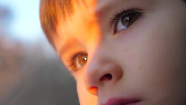 Curioso rostro del chico. Emociones positivas del joven. Viajar por concepto de tren. Ojos del chico con cara seria. Reunión amanecer en tren. Ojos marrones mirando por la ventana al paisaje corriendo — Vídeos de Stock