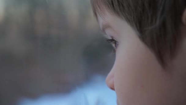 Resor på tåg. Porträtt av pojke på tåget. Barnet funderar på något medan du tittar genom fönstret. Barn och transport. Barn tittar på fönster. Utseendet på en pojke — Stockvideo