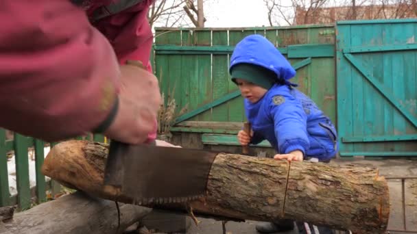 Jongen met handige vakman snijden een logboek met een twee man crosscut saw. Samen te werken. Zoon helpt zijn ouders. Sterk familie concept. Jongen doen klusjes op achtertuin. Grootvader zagen van hout met kleinzoon — Stockvideo