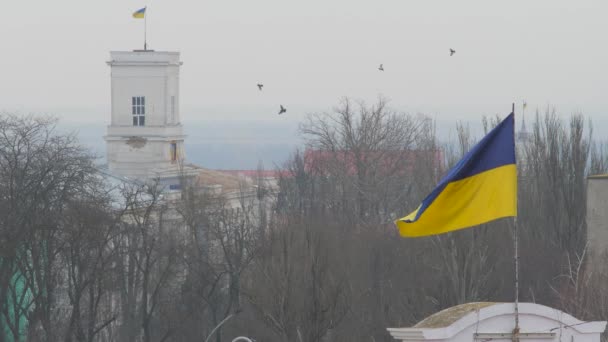 被占领的克里米亚领土上的乌克兰国旗 乌克兰国旗在旗杆上的风中拍马屁 总统选举 乌克兰的主权和领土完整 — 图库视频影像