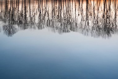 Bahar arka plan. Alacakaranlık, alacakaranlık, gece forest yakınındaki park. Alacakaranlık arka plan üzerinde çıplak ağaçlar. Gündoğumu günbatımı forest yakınındaki sahada. Güzel manzara. Kış sezon sonra doğa.