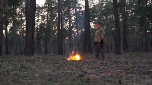 불은 숲에서 시작됩니다. 공원에서 방화. 자연, 식물, 동물 에 불을 설정합니다. 숲에서 화재 를 일으키고 있는 앞에 서있는 동안 주위를 둘러보는 소년, 공원. 방화로 취급. — 비디오