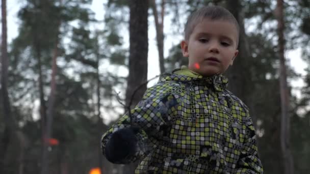 En pojke som sätter brashwood att upprätthålla en härd. Fly hemifrån. Hemlösa barn. Sociala problem. Flora och fauna påfire på grund av vårdlöshet attityd till naturen. — Stockvideo