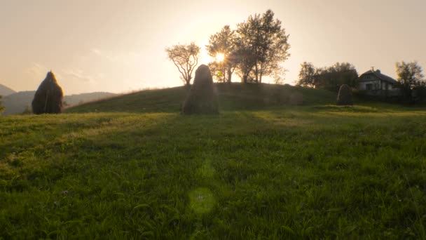 Haycocks en el campo. Paisaje. Green Hill en el verano. Hayfield con pollas de pajar en el soleado día de verano. Hayfield. pajar en un pequeño campo cerca del bosque. Pueblo ucraniano — Vídeo de stock