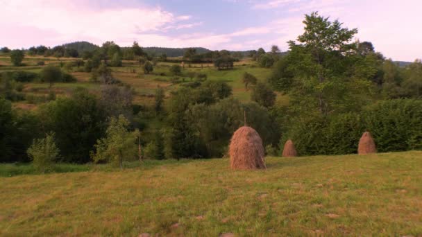 Haycock pozadí. Venkovská scéna. Léto ve vesnici. Meadow u lesa. Hayfielďo pozadí. Letní východ, západ slunce. Zelená tráva na louce. Lesní hory nedaleko hafieldu. Venkovská krajina. — Stock video