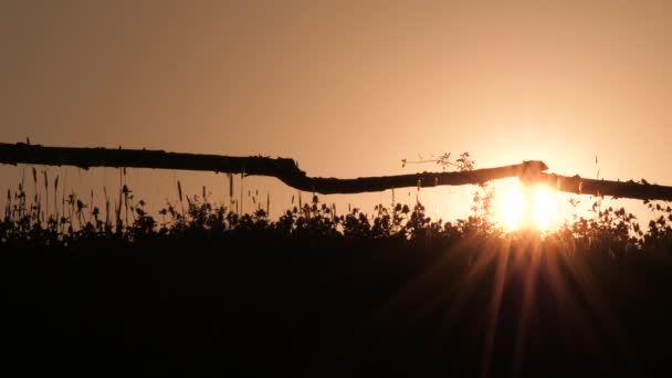 Pittoresco paesaggio rurale. Tramonto sul campo sulla retroilluminazione. Recinzione in legno ed erba estiva con tramonto su sfondo. Caduta notturna nel villaggio di montagna. Sfondo turismo verde. Concetto ora legale — Video Stock