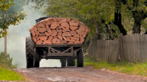 Pommes de pin abattues entraînées par tracteur sur route au sol fumée. Transport de matériaux de construction. Route de village au sol pour conduire des arbres abattus. Matériaux en bois pour blockhaus. Grumes et ferme à la campagne — Video