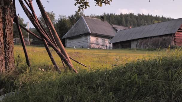 Nicht urbane Szene. ländlicher Hintergrund. alte Dorfhäuser auf grünem Gras Hintergrund. Sommer im Dorf. Hinterhof, Vorgarten des Haushalts. Kleinbetriebshühner auf Hinterhof. — Stockvideo