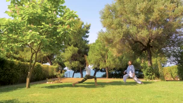 Mãe mais velha com filha adulta fazendo ioga. Duas mulheres de idade diferente fazendo ioga posar no jardim da frente, quintal. Fazendo exercícios matinais com árvores e céu azul no fundo — Vídeo de Stock