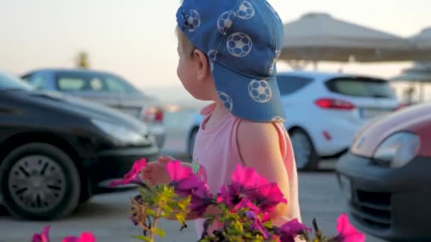 Petit hipster en bonnet reniflant des fleurs de pétunia. Jeune voyageur explorant le monde. Concept de voyage Wonderlust. Petite fille dans la ville reniflant des fleurs en pot. Joyeux bambin en blazer en plein air en ville — Video