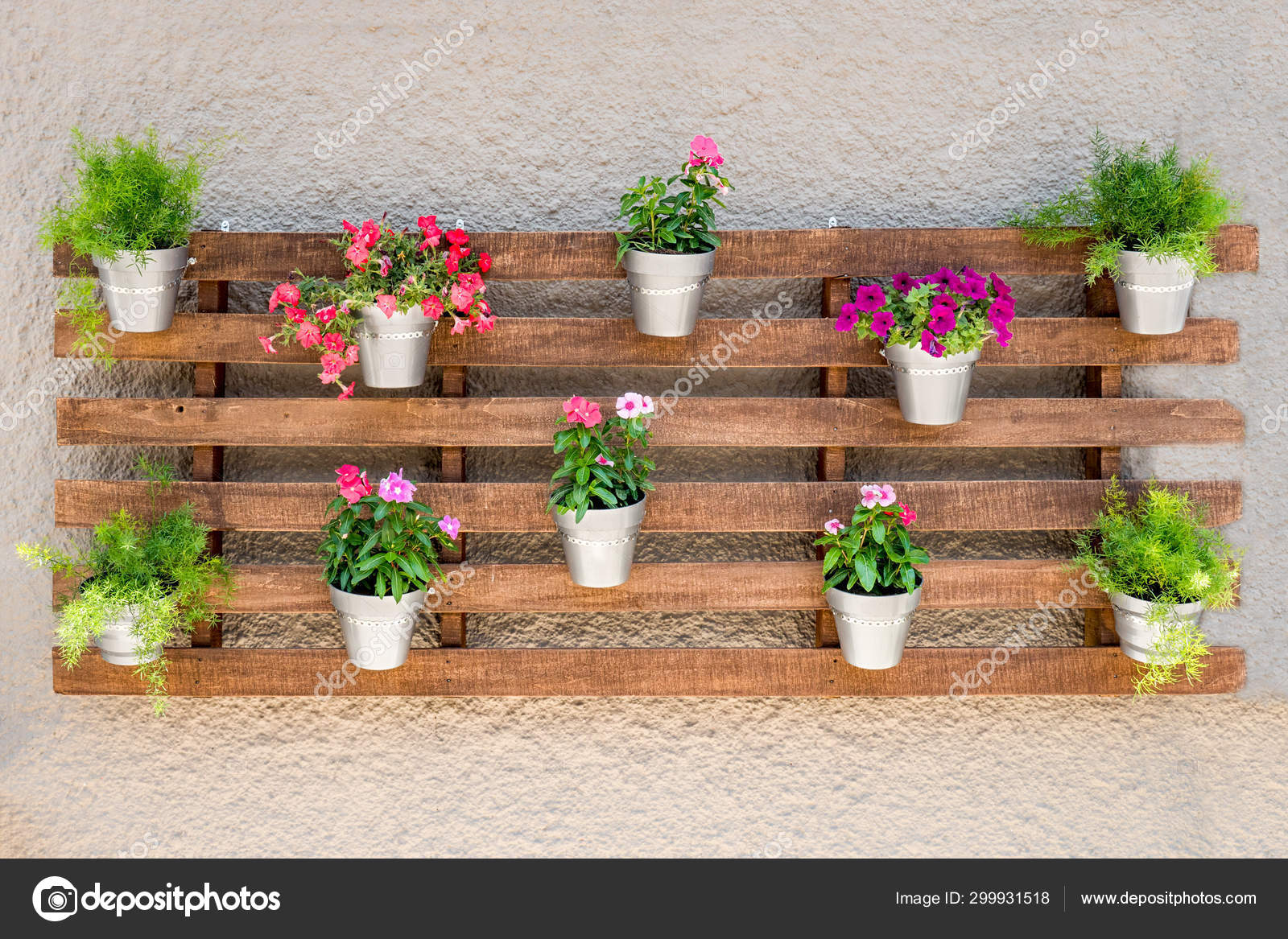 Modern plant pot from aluminium bucket, hanging on wall pattern and  background. Green plants on the wall. Grunge wooden texture background copy  space. Recycled pallets. Recycled items. Stock Photo by ©SYNEL 299931518