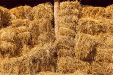 Özellikle yem olarak veya sazlık, paketleme veya dokuma için malzeme olarak kullanılan kurutulmuş tahıl sapları. Ahırda saman balyaları, barınak. Bir sürü saman balyası. Saman balyaları arka plan