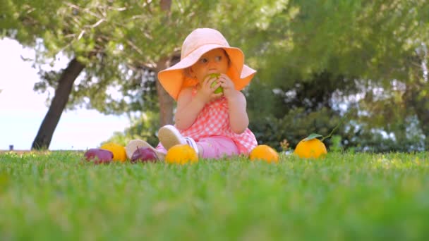 快乐的童年理念。孩子在后院户外玩水果。快乐的童年理念。蹒跚学步的孩子坐在绿草地上等妈妈。收获概念. — 图库视频影像