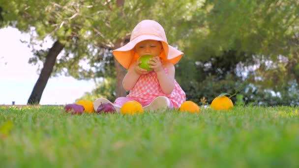 Pequeña princesa jugando con frutas al aire libre. Concepto de infancia feliz. Un niño sentado sobre hierba verde esperando a su madre. Chica en panama jugando con naranjas y manzanas — Vídeo de stock