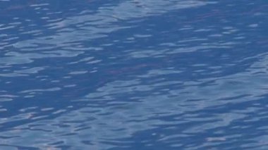 Soyut okyanus arka planı. Küçük dalgalarla mavi su. Doğa arka planı için su dalgaları. Denizin, okyanusun temiz yüzeyi. Deniz suyu arka planı. Yaz geçmişi. Soyut deniz suyunun dokusu.