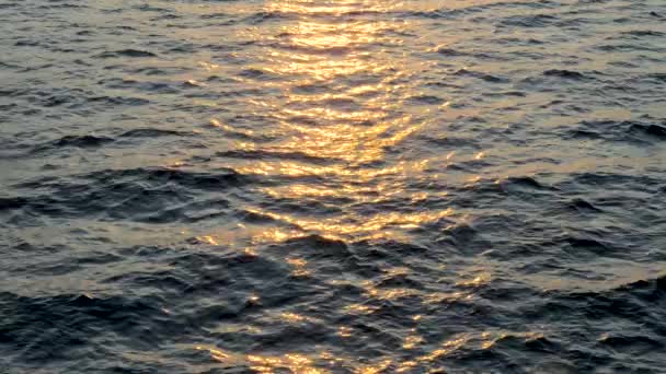 Background of calm sea. Sea with little waves close up. Deep blue ocean with sun reflecting in the water. — Stock Video