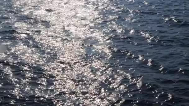 Background of calm sea. Sea with little waves close up. — Stock Video