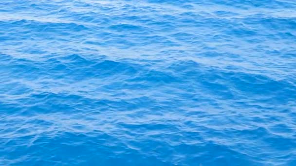 Achtergrond van kalme zee. Zee met weinig golven close-up. Blauwe zee met weinig golven textuur. — Stockvideo