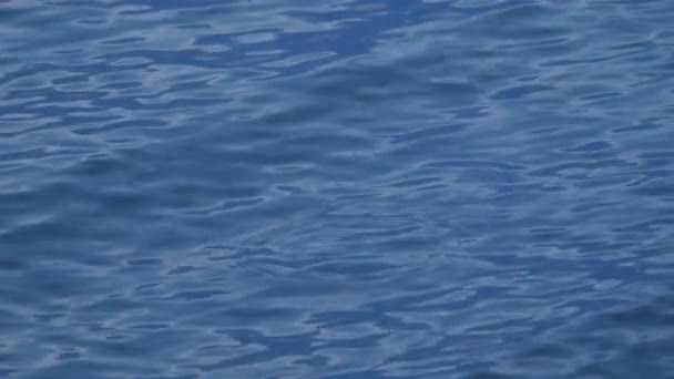 Antecedentes de água do mar escura abstrata. Cor azul. Imagem para design. Mar com reflexão e sombra. Cor azul. Água azul paisagem marinha fundo abstrato. azul água paisagem marinha fundo abstrato — Vídeo de Stock