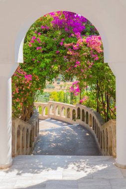 Bahçede dar sokak, park, arka bahçe, ön bahçesinde çiçekli çalılar. Doğa ve taştan kemer ile Duvar Kağıdı resmi. Etrafında çiçekler ile güzel arka bahçesinde.