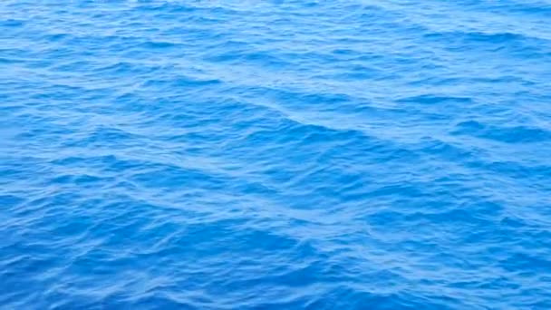 Background of calm sea. Sea with little waves close up. Sea water background. Blue sea with little waves texture. Dark blue sea background. Beautiful blue color of ocean background — Stock Video