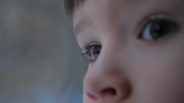 Dil havası. Hoş bir duygu, yorgunluk, durgunluk. Anılar, anılar, küçük çocuğun anıları, erkek, erkek. Oğlanın rüyaları. Dokunaklı sahne. Yüzünde ciddi bir ifade olan çocuk.