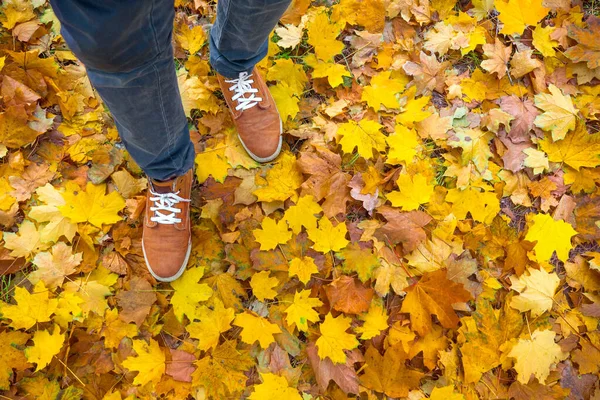 Otoño, otoño, hojas, piernas y zapatos. Imagen conceptual de las piernas en botas sobre las hojas de otoño. Zapatos de pies caminando en la naturaleza. Naturaleza al aire libre con temporada de otoño en el fondo — Foto de Stock