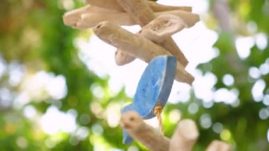 Dış dekorasyon. Rüzgar çanları. Yaz dönemi geçmişi. Ağaçtan sarkan ahşap rüzgar çanları.