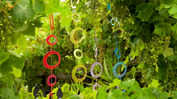 Wooden toys for windy days. Wooden fish hanging on the rope. Fish symbolizing fish food. Fish sign of faith. Fish as a signboard. Belief background — ストック動画