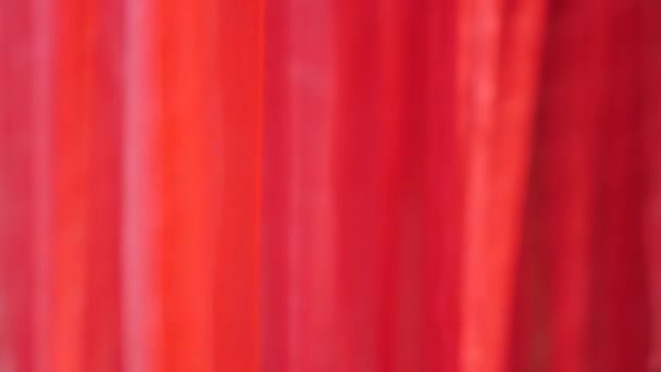 红色的披风轻轻飘扬.红色光滑的窗帘。抽象背景，计算机生成，无缝循环 — 图库视频影像