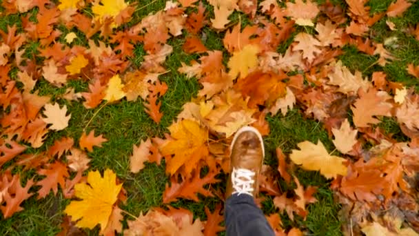 Sapatos de homem em folhas de outono caídas. Conceito passo a passo. Pés de sapatos pisando em folhas caídas. Tempero. Conceito de início de outono — Vídeo de Stock