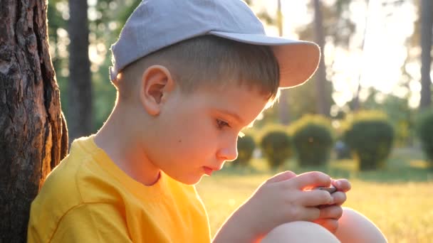 Εκπαίδευση και νέες τεχνολογίες. Εκμάθηση έννοιας. Διαδικτυακό υπόβαθρο μαθημάτων. Παιδί κάθεται στο πάρκο κάτω από το δέντρο και διαβάζοντας ebook, παίζοντας το παιχνίδι στο κινητό. — Αρχείο Βίντεο