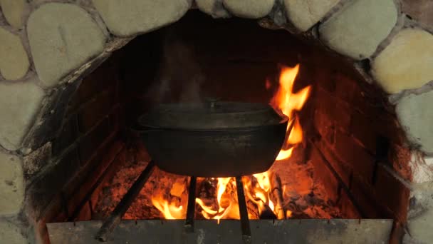 Cocinar la comida en el horno a fuego abierto. Calderas de hierro fundido con comida. Leña y fuego en el horno. Comida rústica en un fuego abierto. Prende fuego para cocinar. La leña se quema en la parrilla al aire libre — Vídeo de stock
